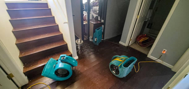 Best Residential water damage restoration  in Scottsburg, IN