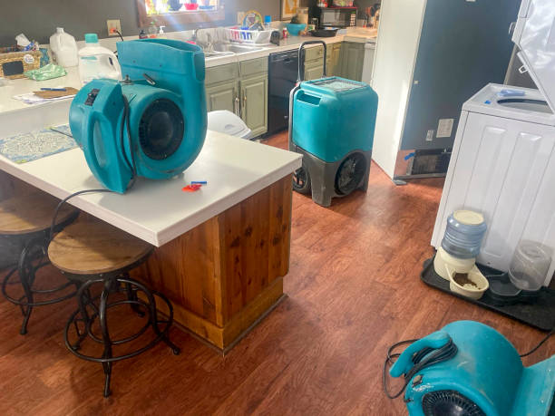 Best Emergency water damage restoration  in Scottsburg, IN