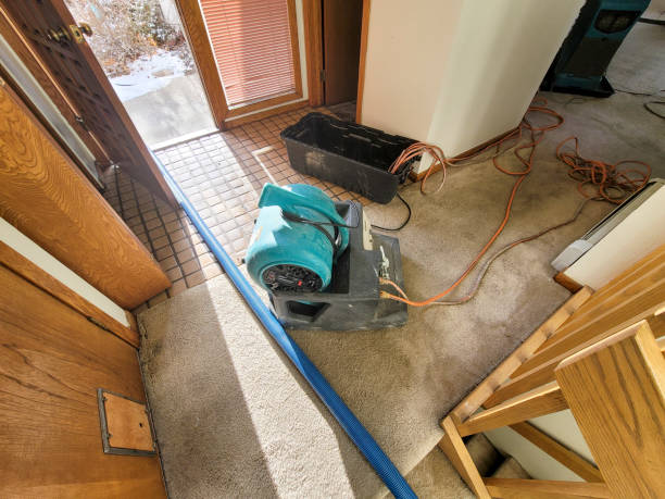Best Water damage cleanup near me  in Scottsburg, IN