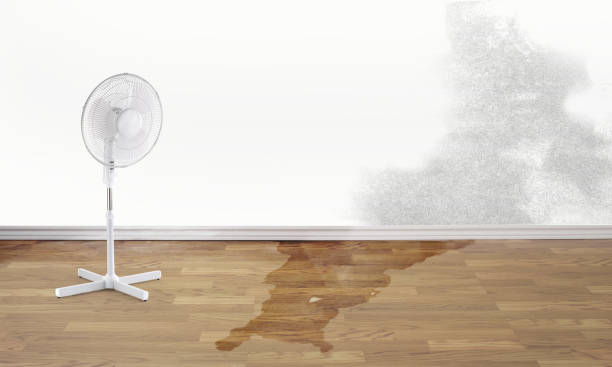 Best 24/7 water damage repair  in Scottsburg, IN