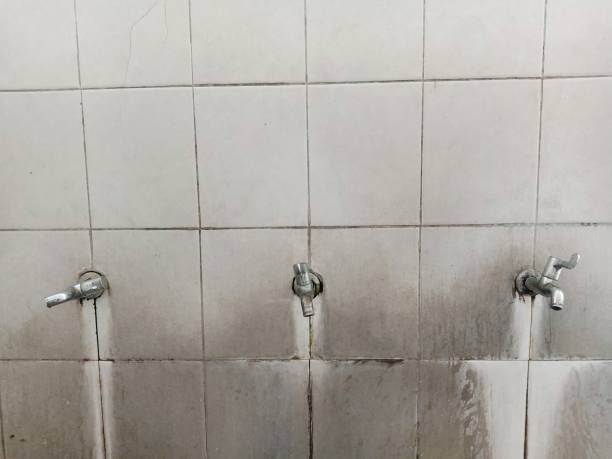 Best Mold removal after water damage  in Scottsburg, IN