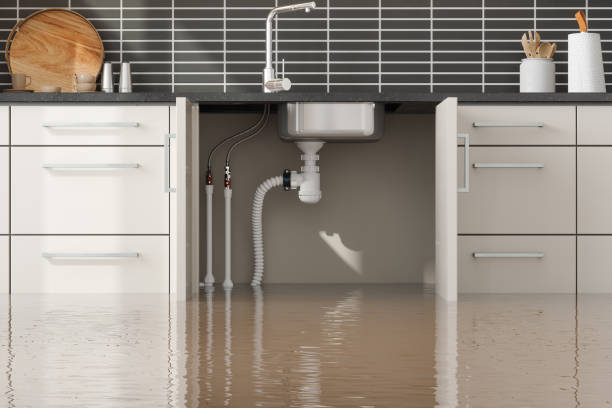 Best Professional water damage repair  in Scottsburg, IN