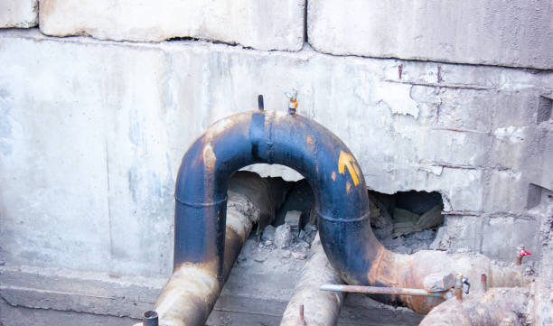 Best Water damage contractors near me  in Scottsburg, IN